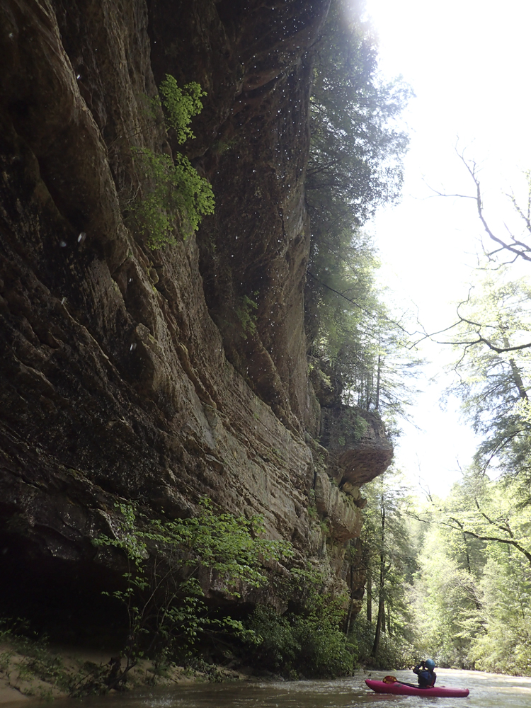 Very pleasant scenery keeps you occupied while heading down the moving