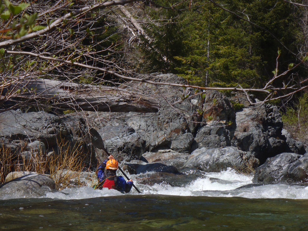 Kidder Creek (Lower)