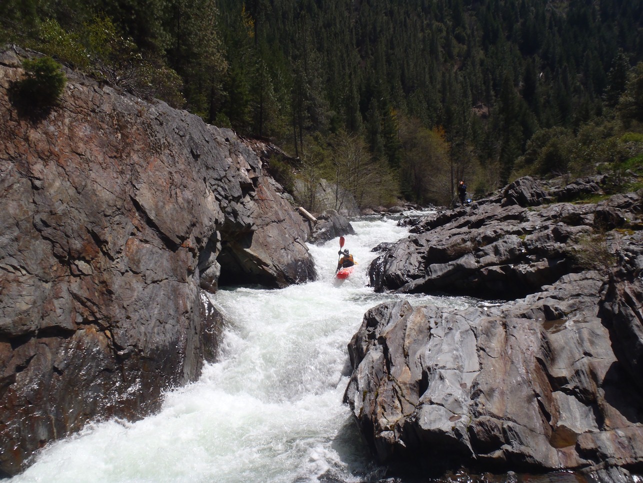 Kidder Creek (Lower)